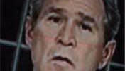 Bush
